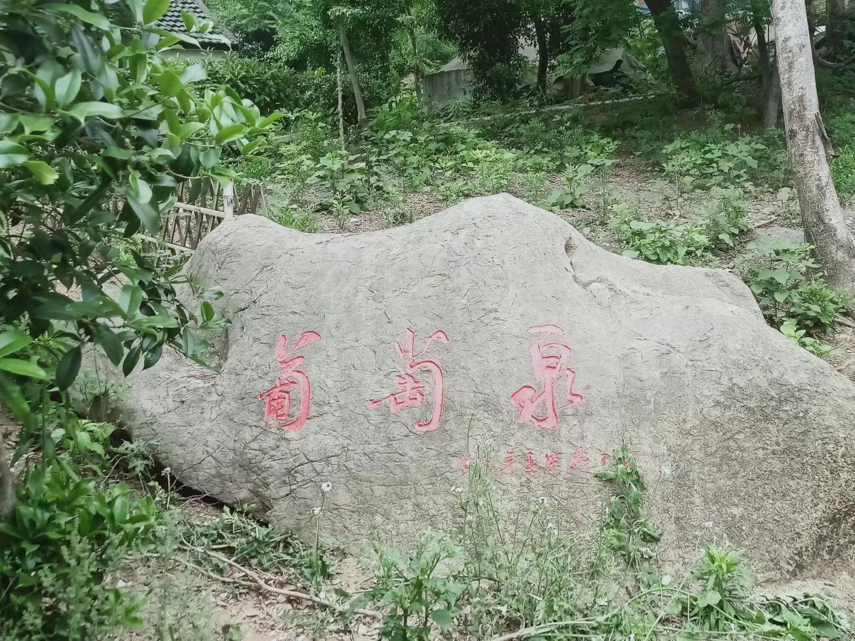 葡萄泉景区旅行图片 3