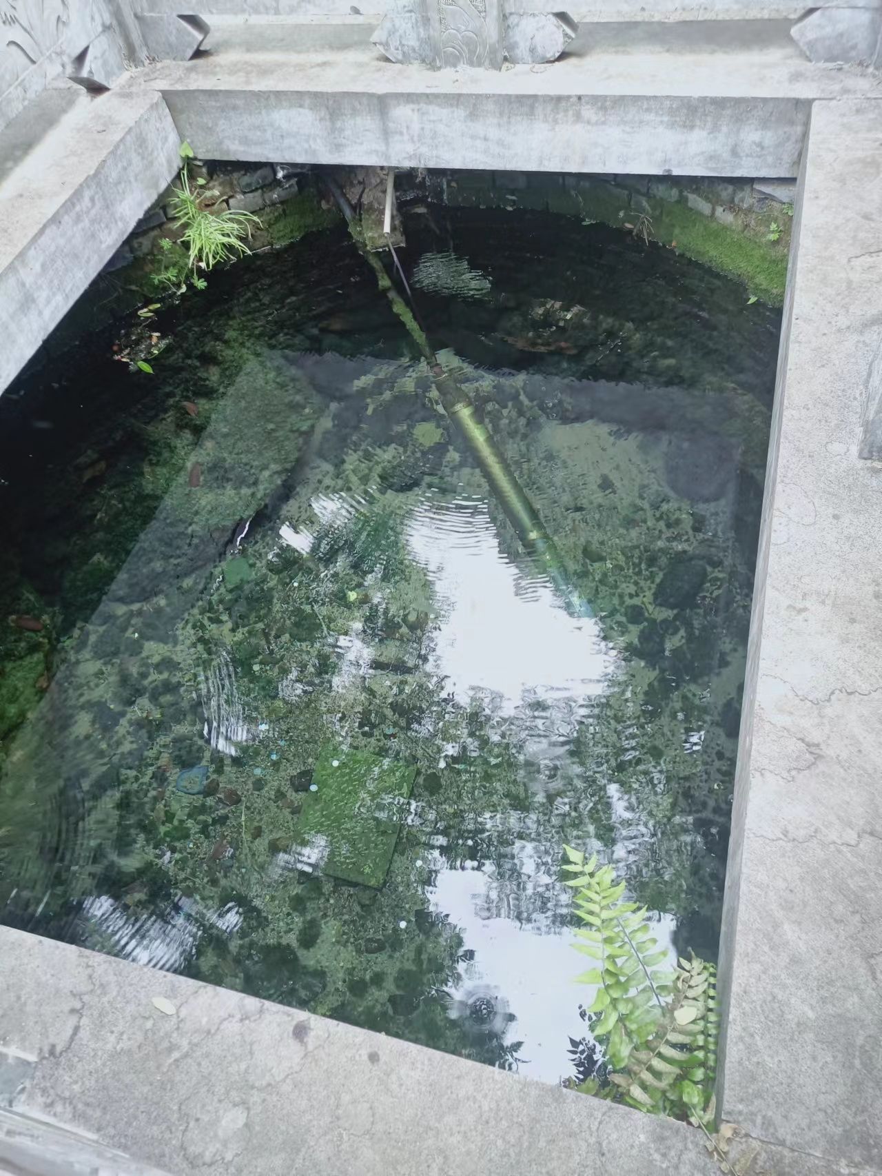 葡萄泉景区旅行图片 2