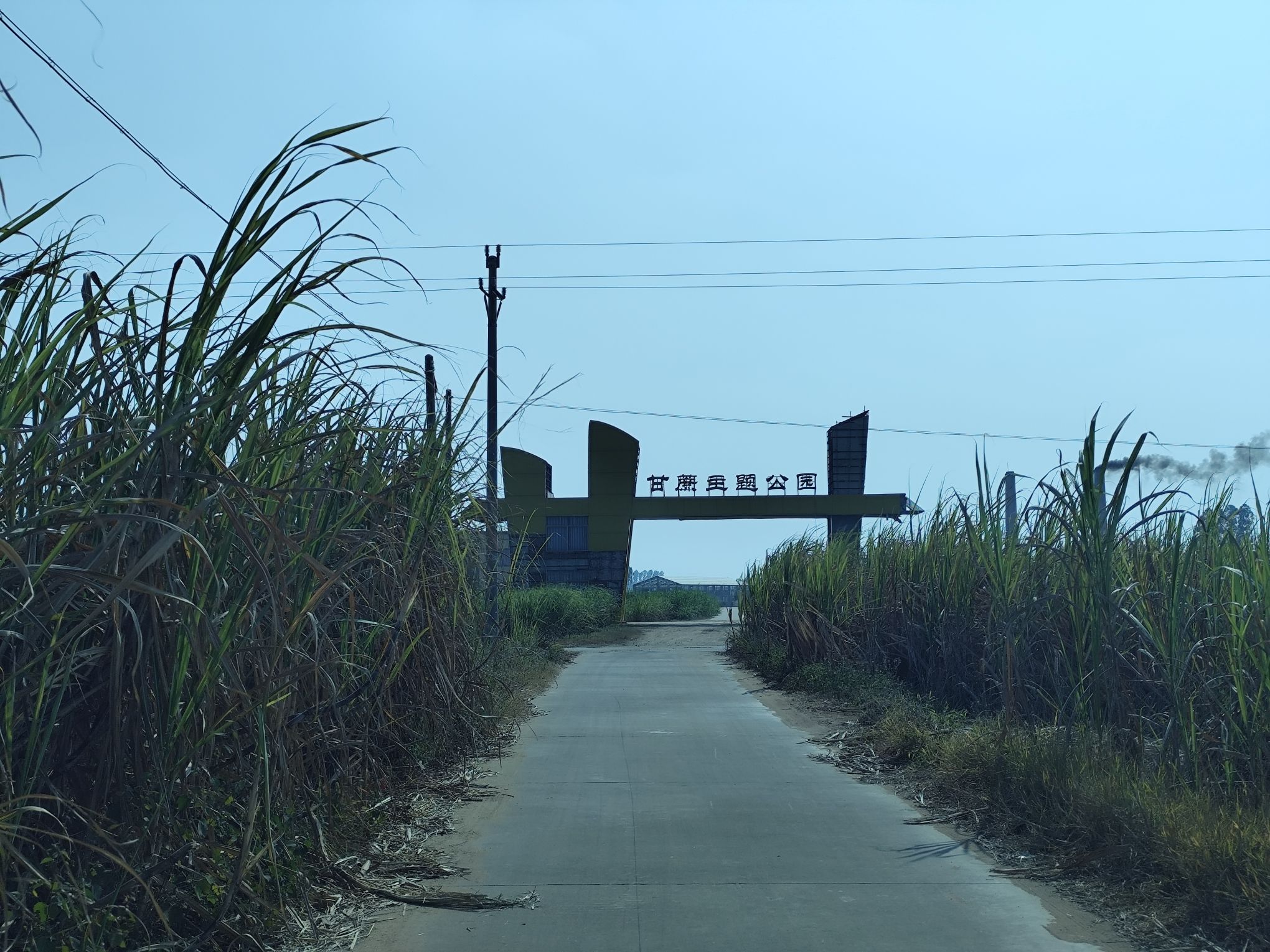 甘蔗主题公园旅行图片 2