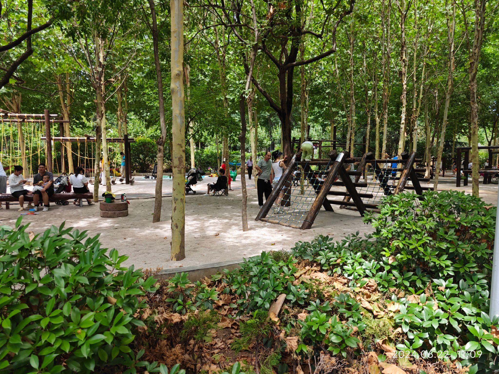 郑州树木园童趣园旅行图片 1