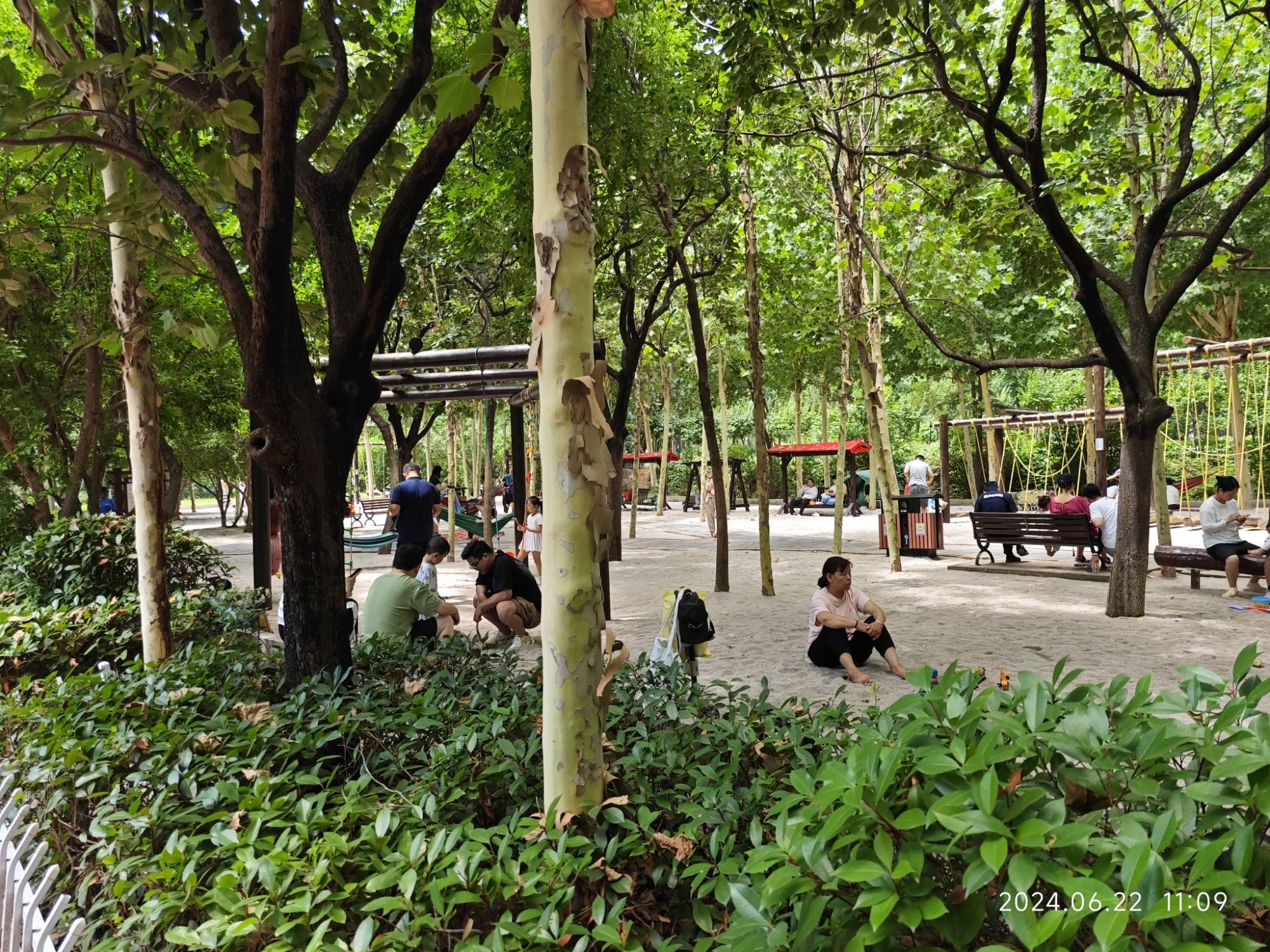 郑州树木园童趣园旅行图片 2