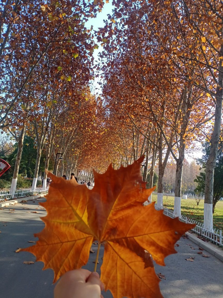 郑州树木园童趣园旅行图片 2