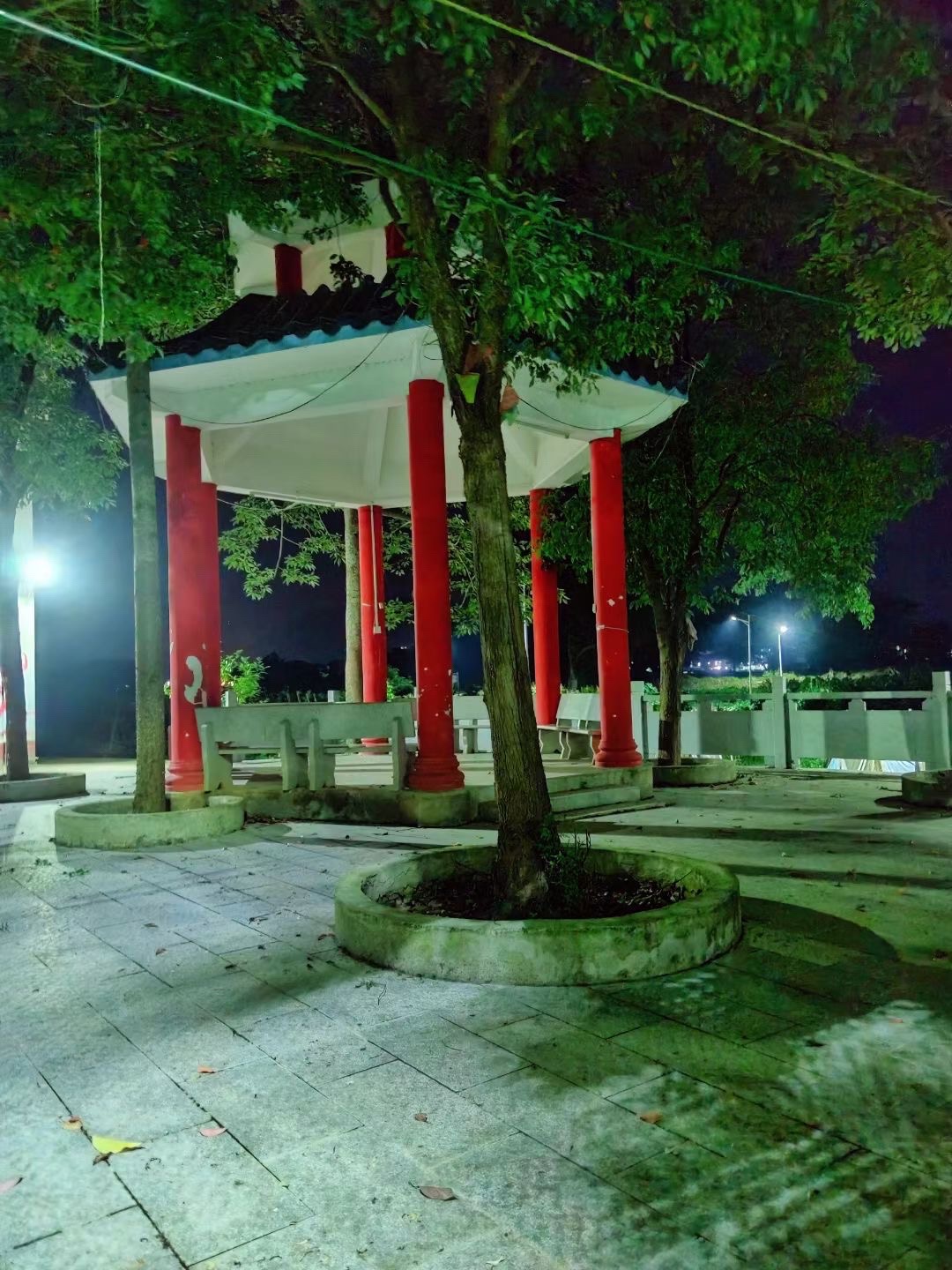 下菱文化中心公园旅行图片 2