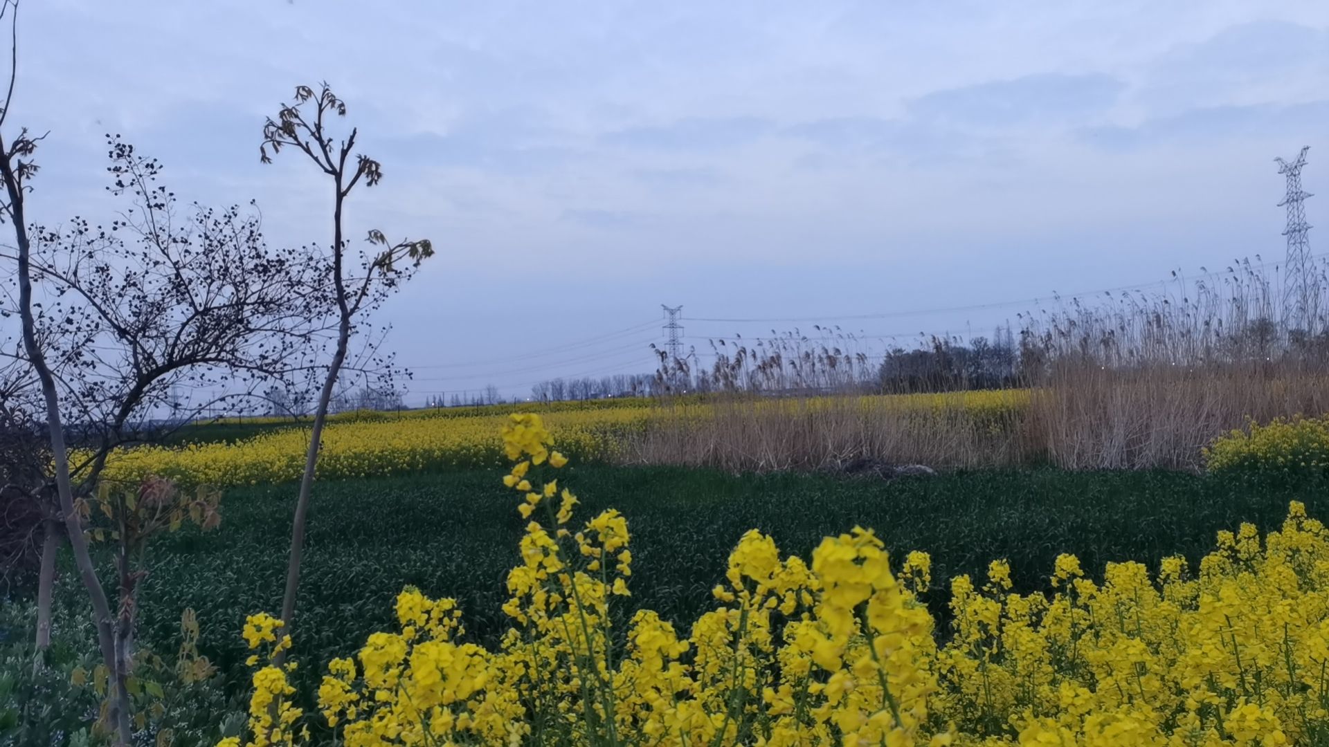 慈云公园旅行图片 2