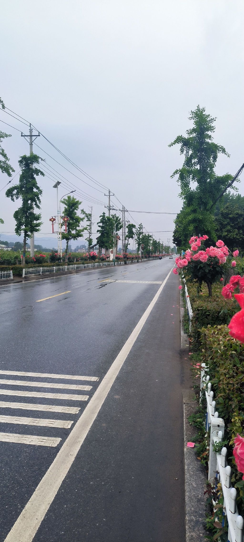爱之谷理想小镇旅行图片 1