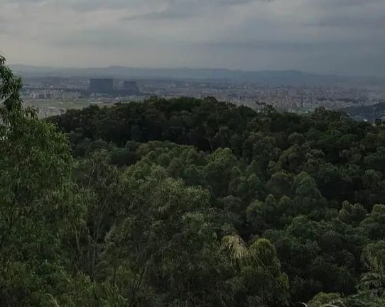 虫牙村瀑布旅行图片 3