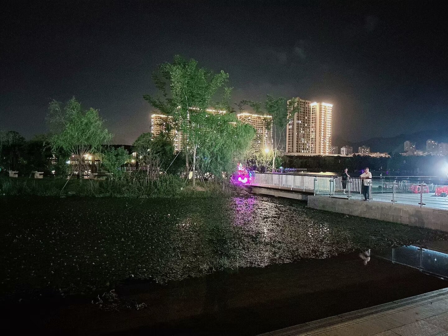 龙浦湖公园旅行图片 1