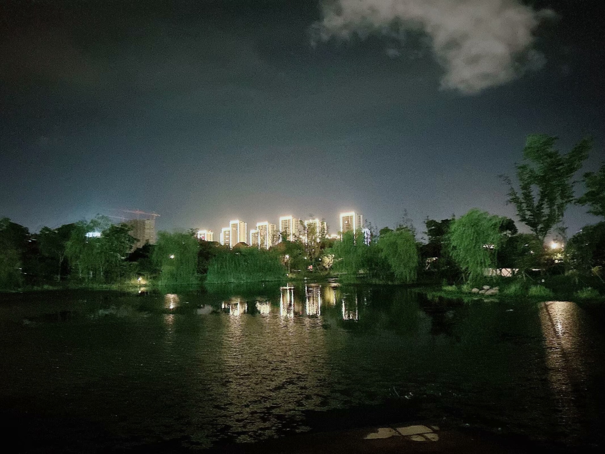 龙浦湖公园旅行图片 2