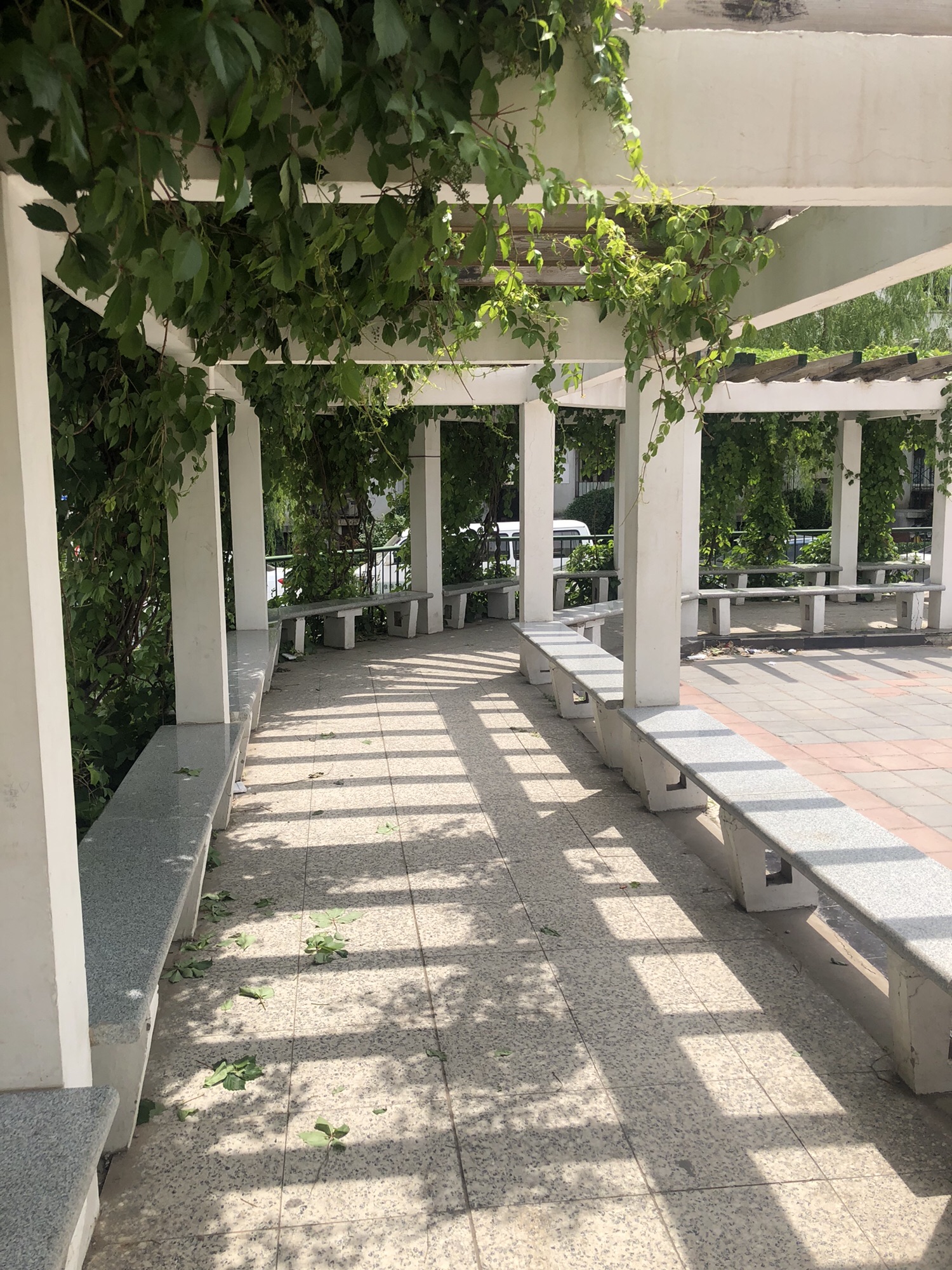 同心广场旅行图片 3