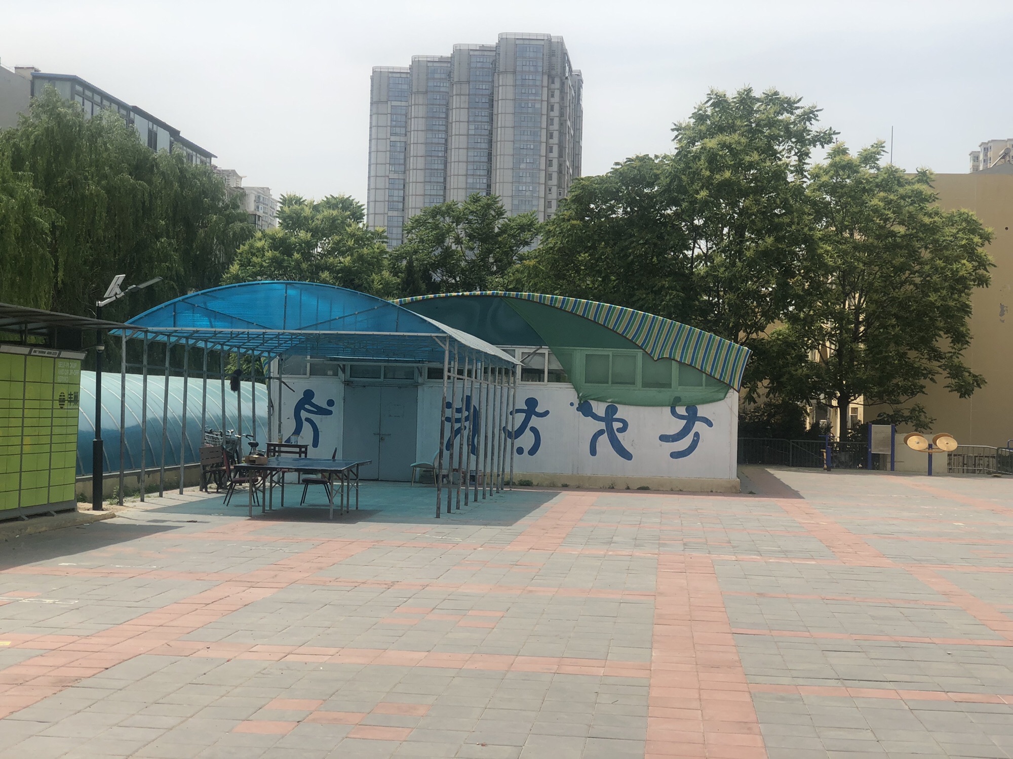同心广场旅行图片 2