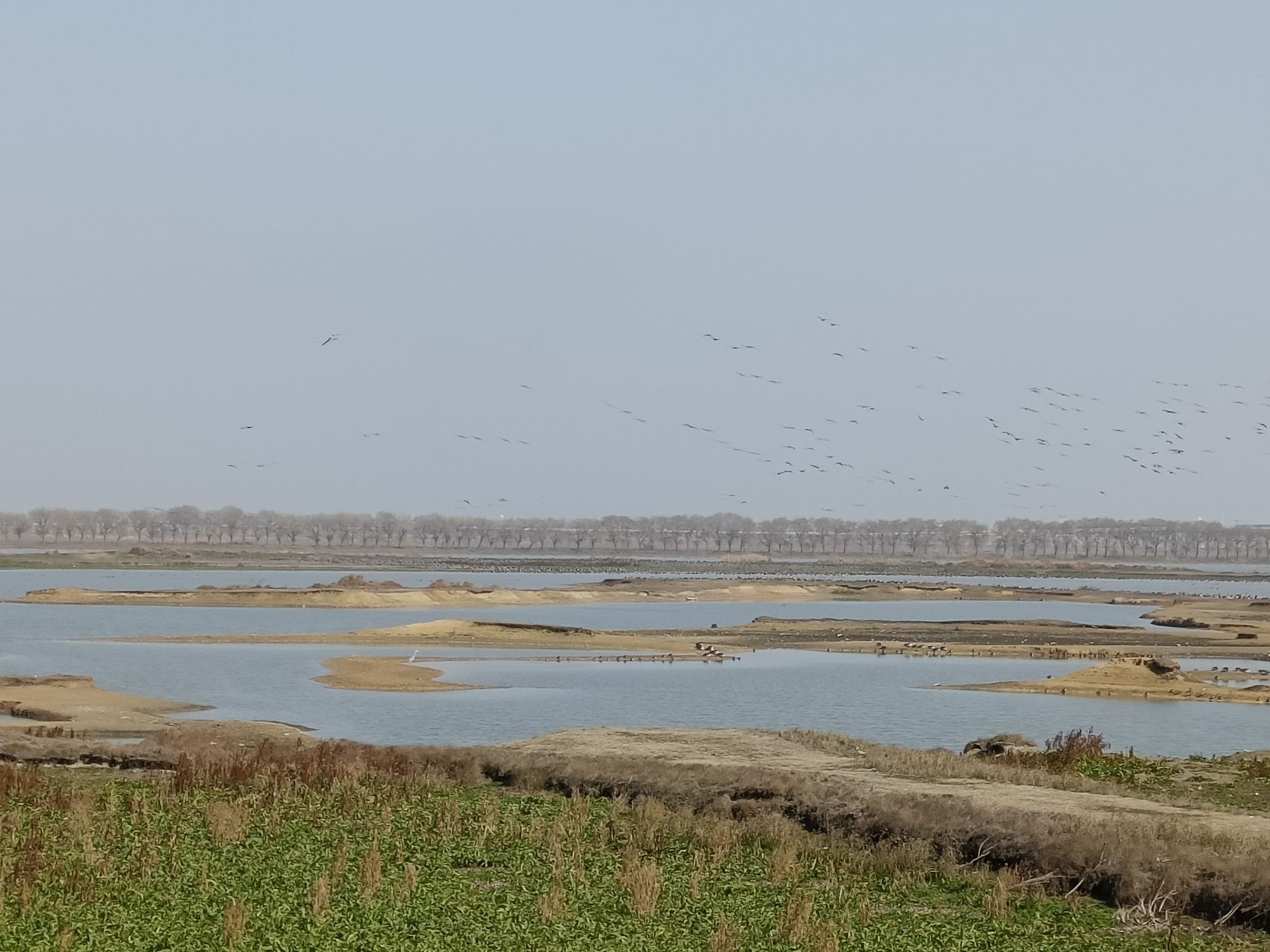 柏泉府河湿地观鸟台旅行图片 2