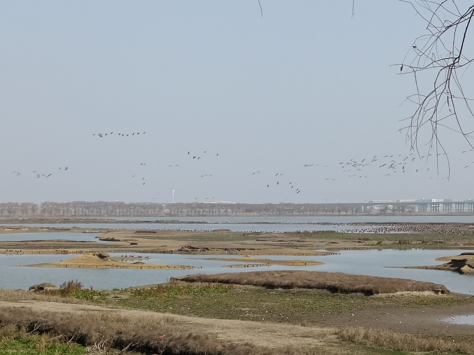 柏泉府河湿地观鸟台旅行图片 3