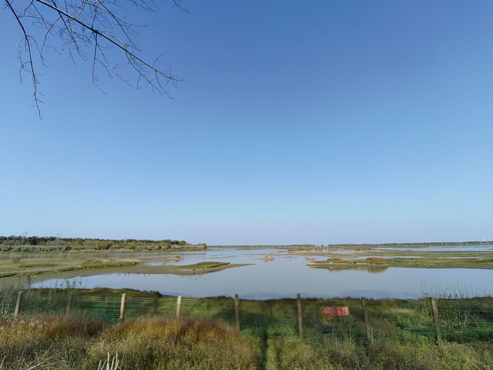 柏泉府河湿地观鸟台旅行图片 3