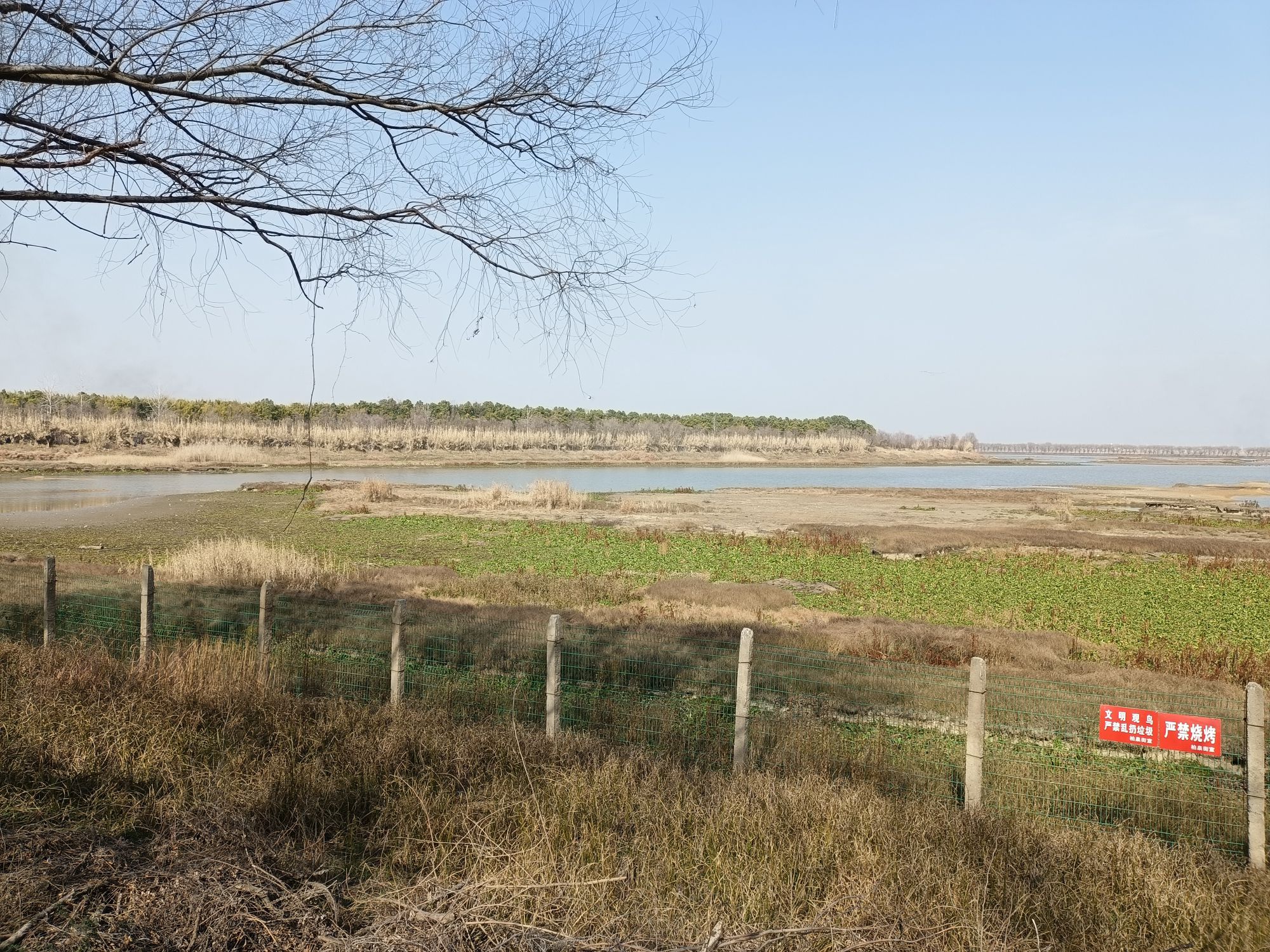 柏泉府河湿地观鸟台旅行图片 1