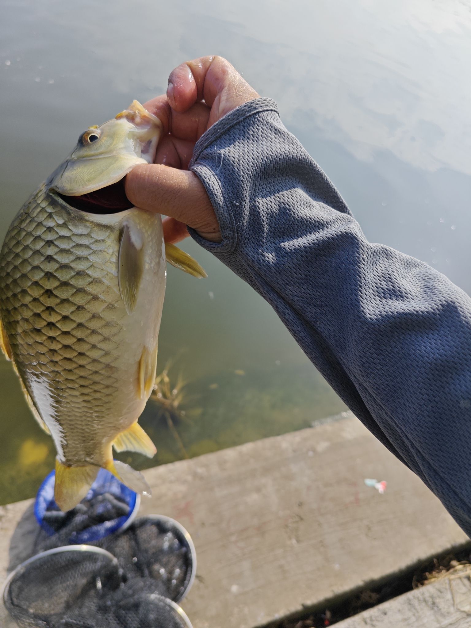 尚品养殖垂钓中心