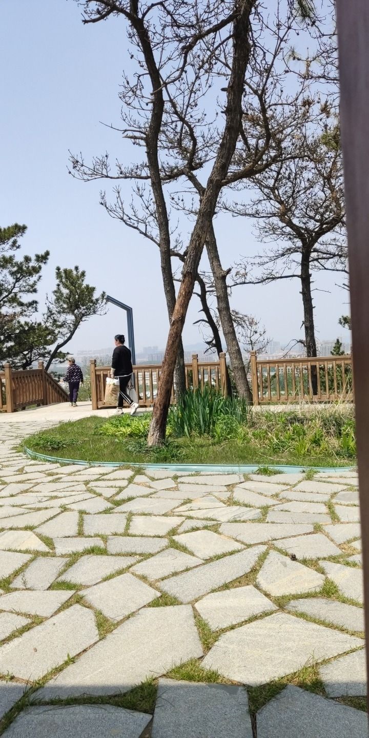 峄山公园旅行图片 3