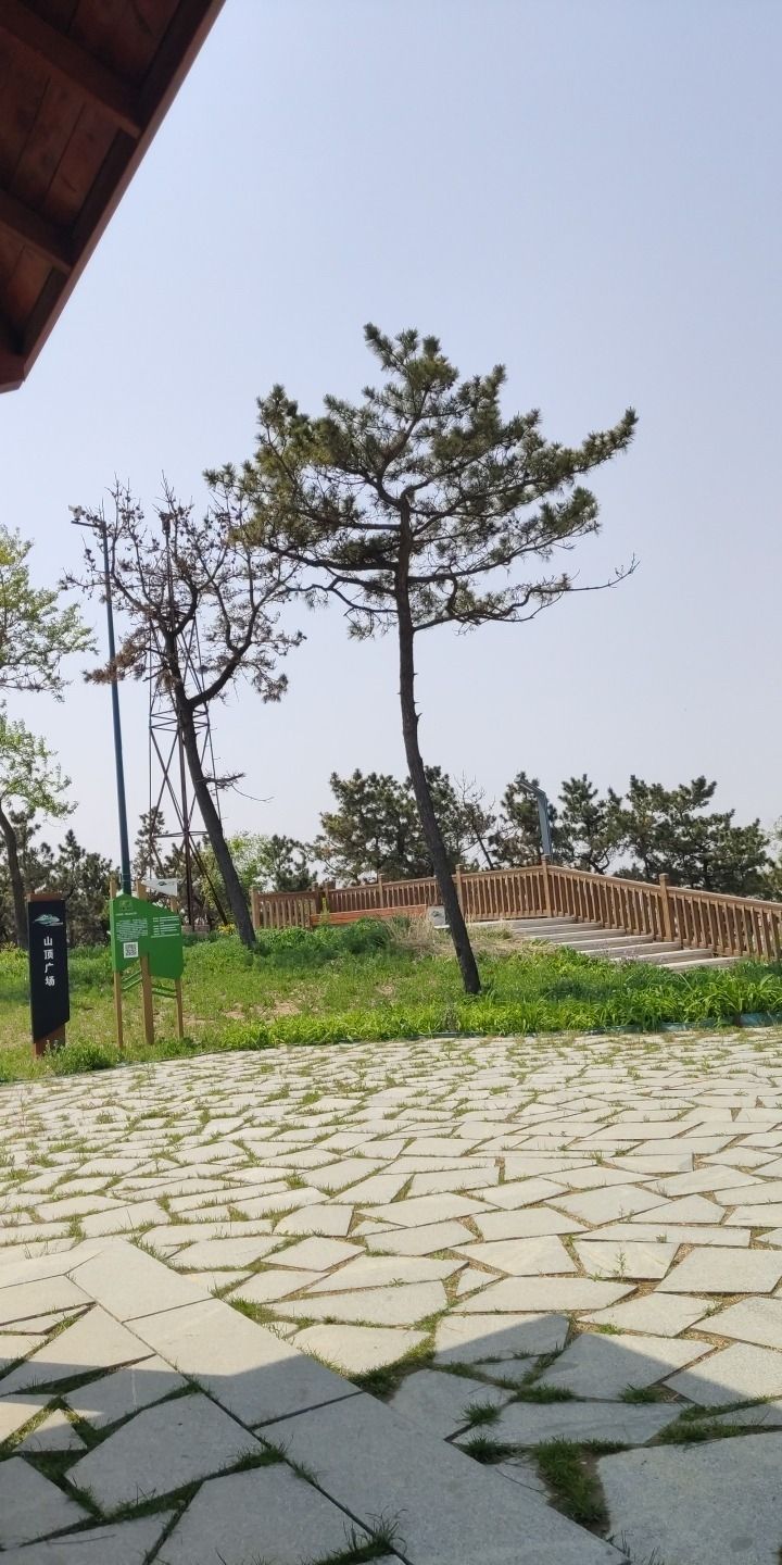 峄山公园旅行图片 1