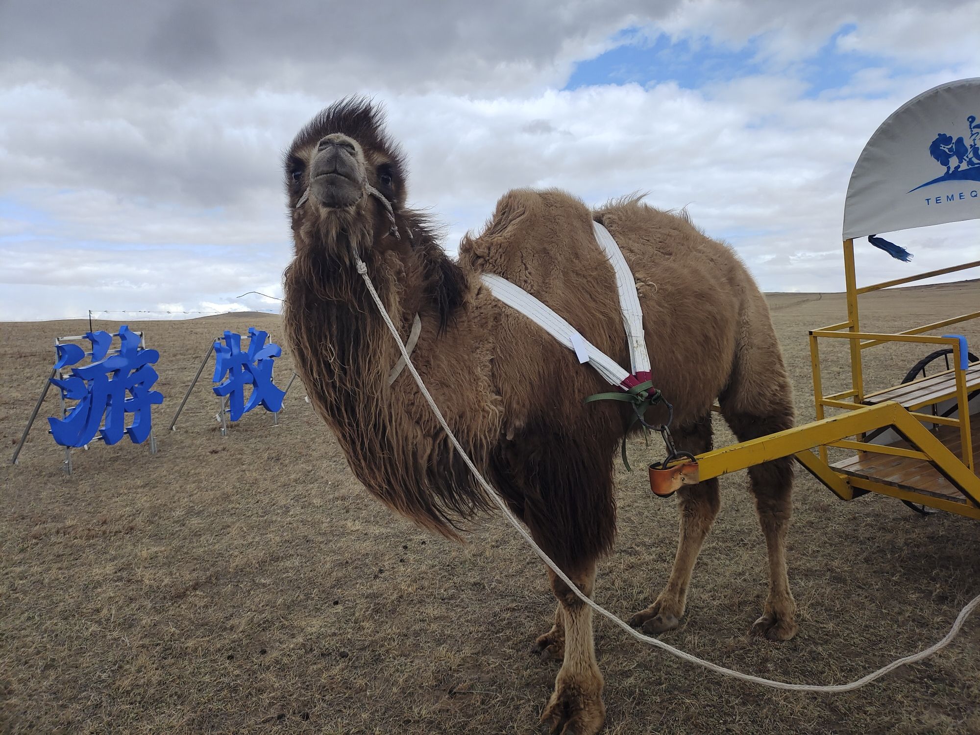286云尚牧歌景区旅行图片 3