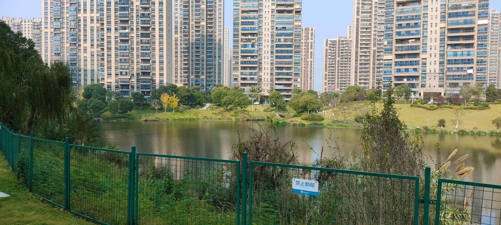 临湖苑公园旅行图片 1