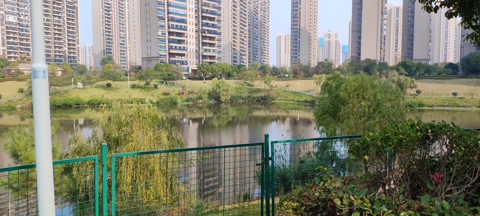 临湖苑公园旅行图片 2