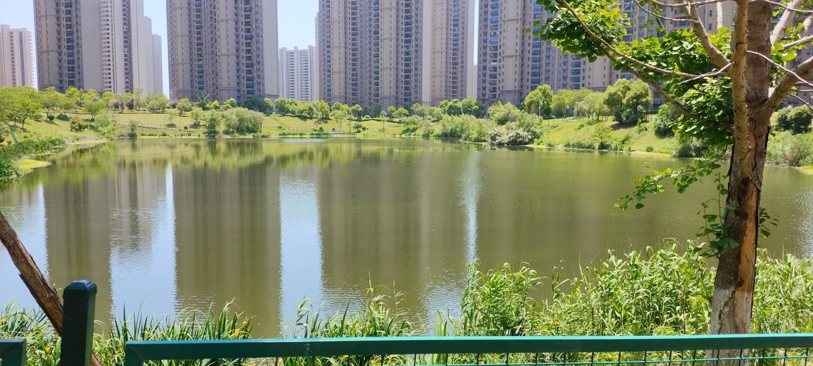 临湖苑公园旅行图片 1