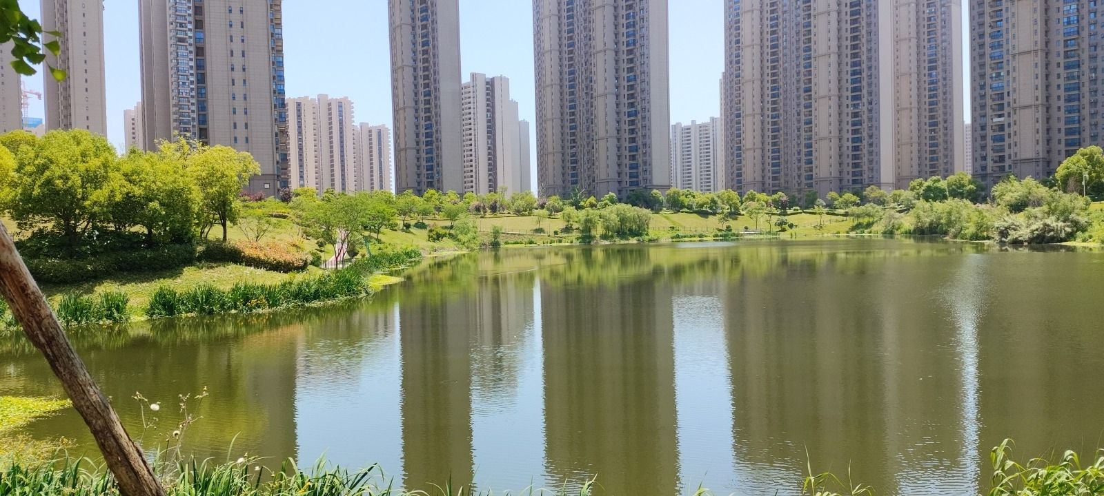临湖苑公园旅行图片 2