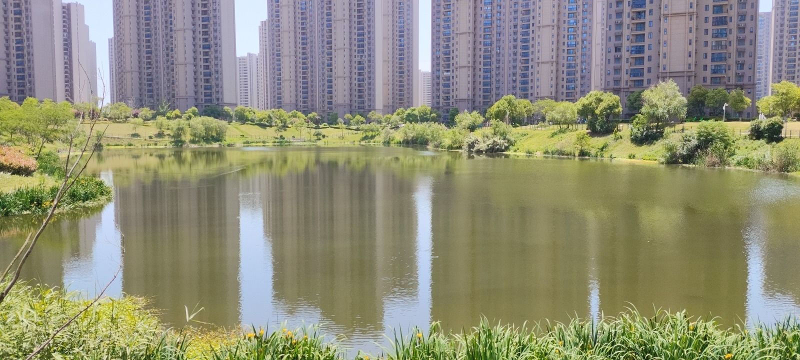 临湖苑公园旅行图片 3