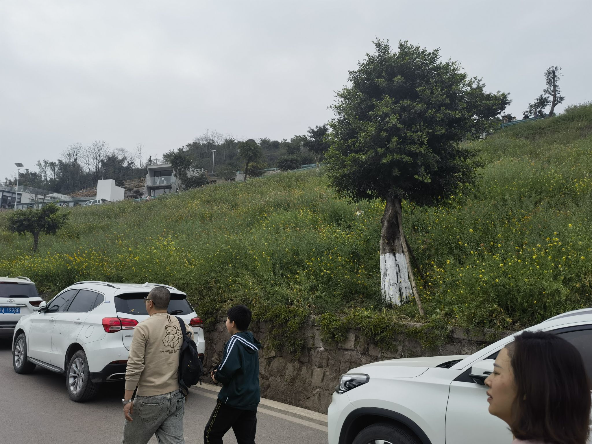 五彩梯田旅行图片 3