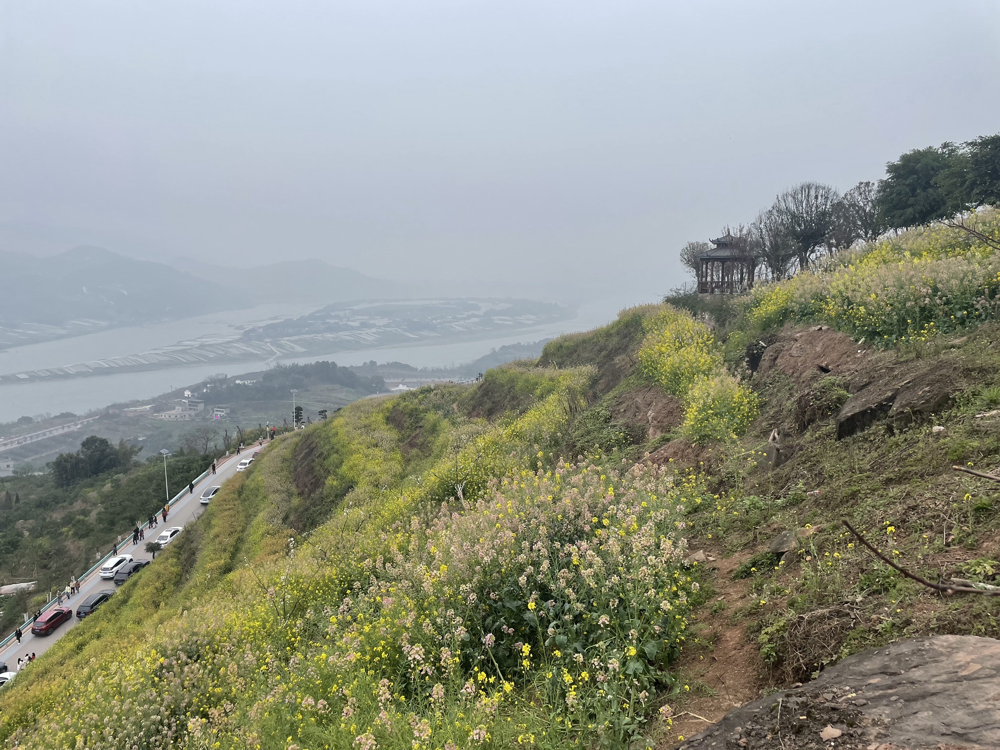五彩梯田旅行图片 2