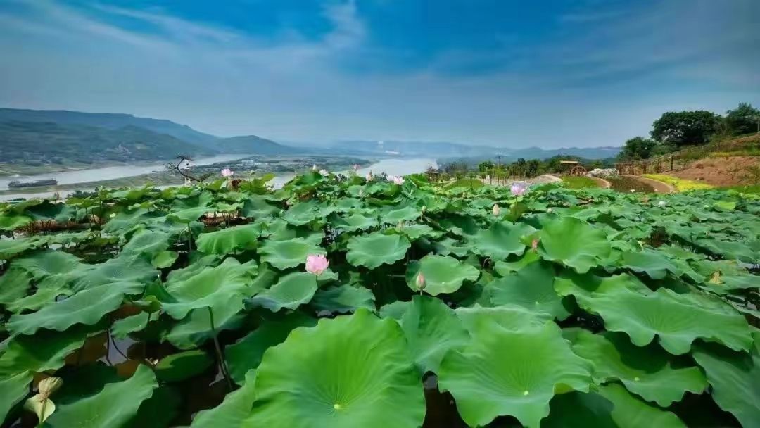 五彩梯田旅行图片 2