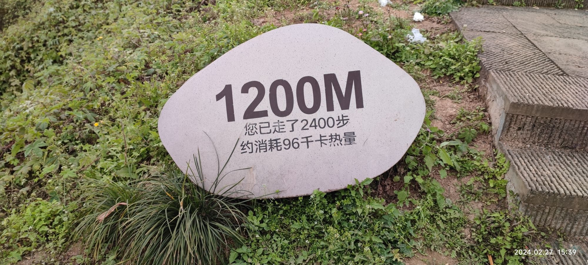 五彩梯田旅行图片 1