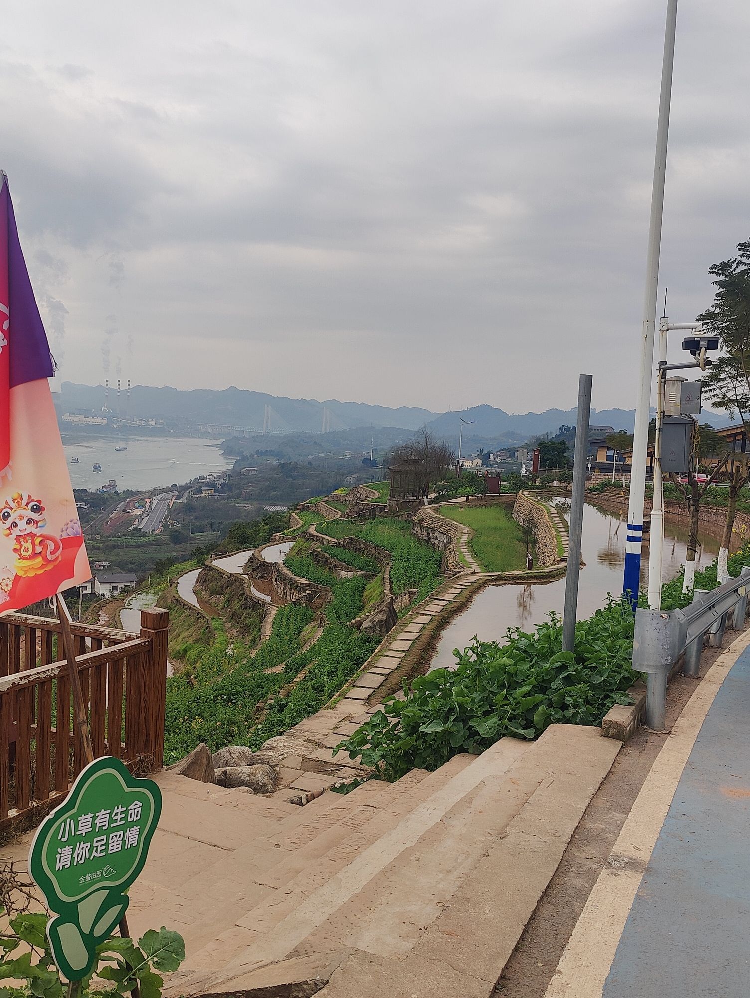 五彩梯田旅行图片 3