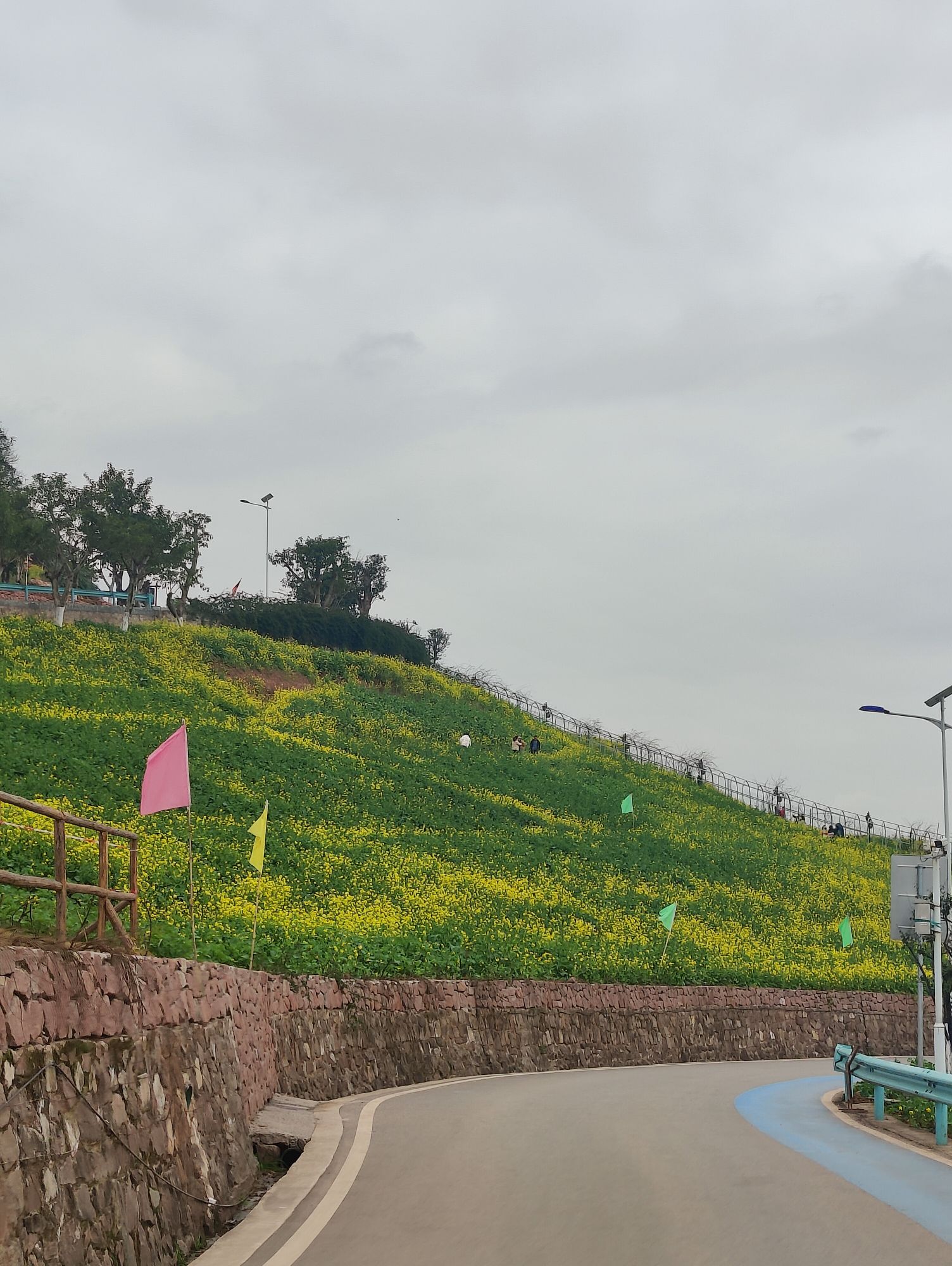 五彩梯田旅行图片 2