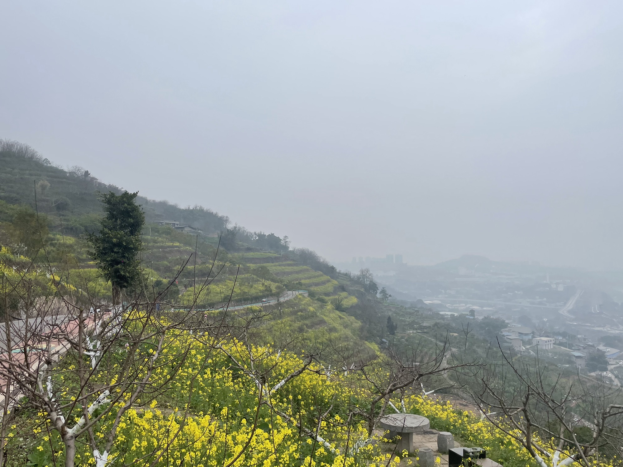 五彩梯田旅行图片 1