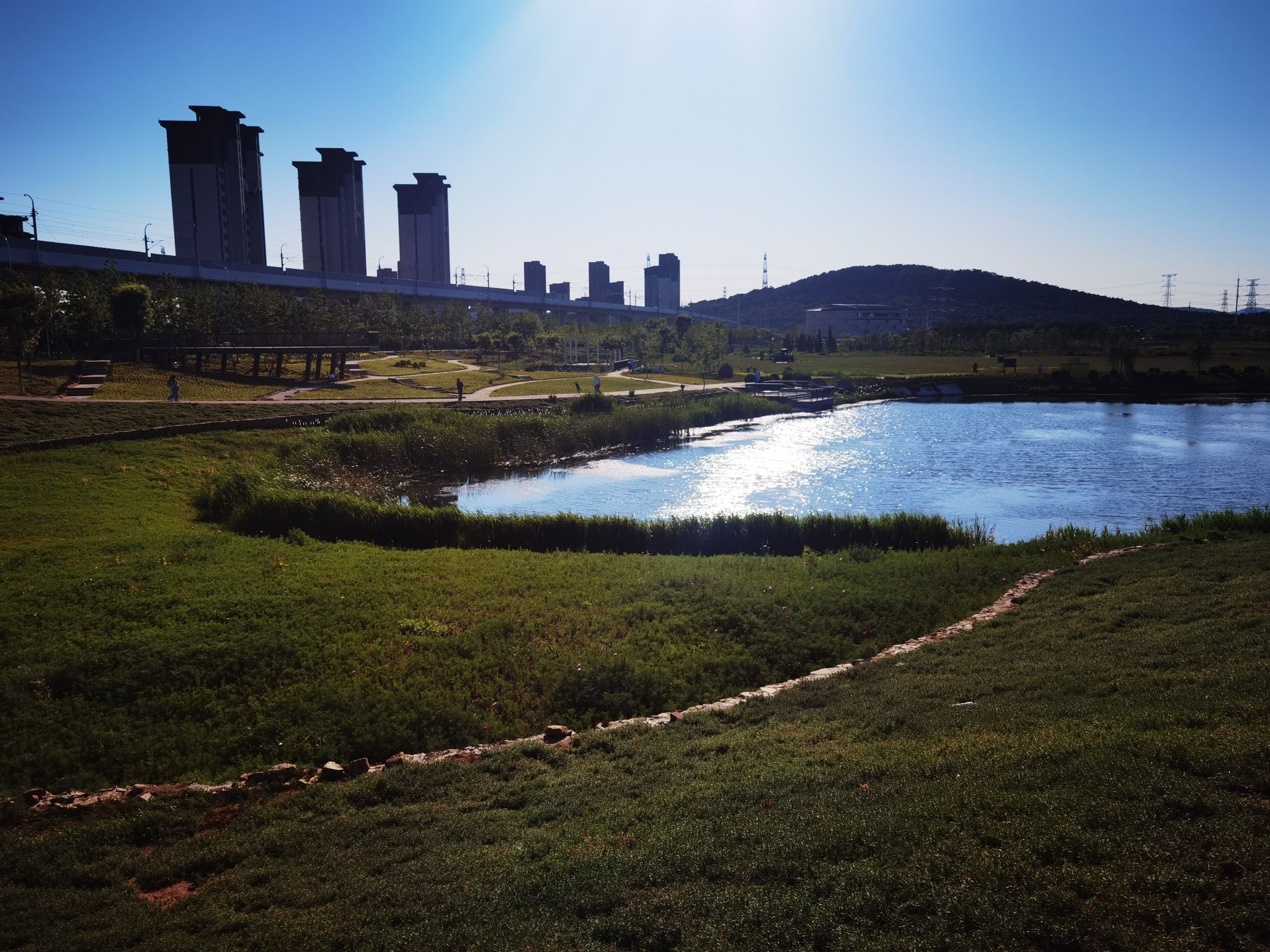 千年古莲园(暂停开放)旅行图片 3