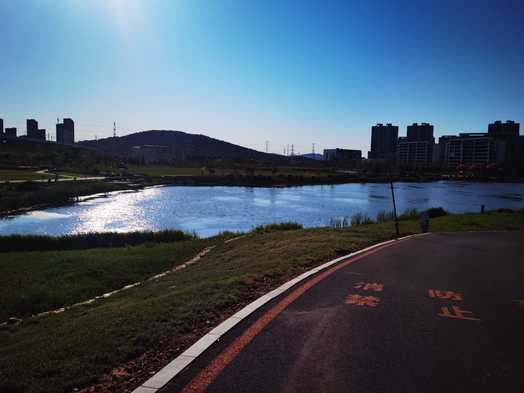 千年古莲园(暂停开放)旅行图片 2