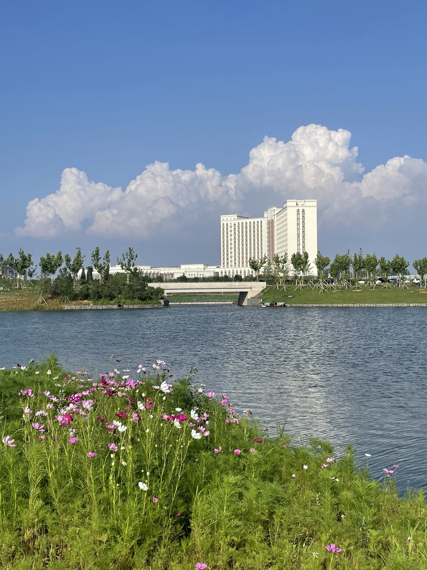 千年古莲园(暂停开放)旅行图片 2