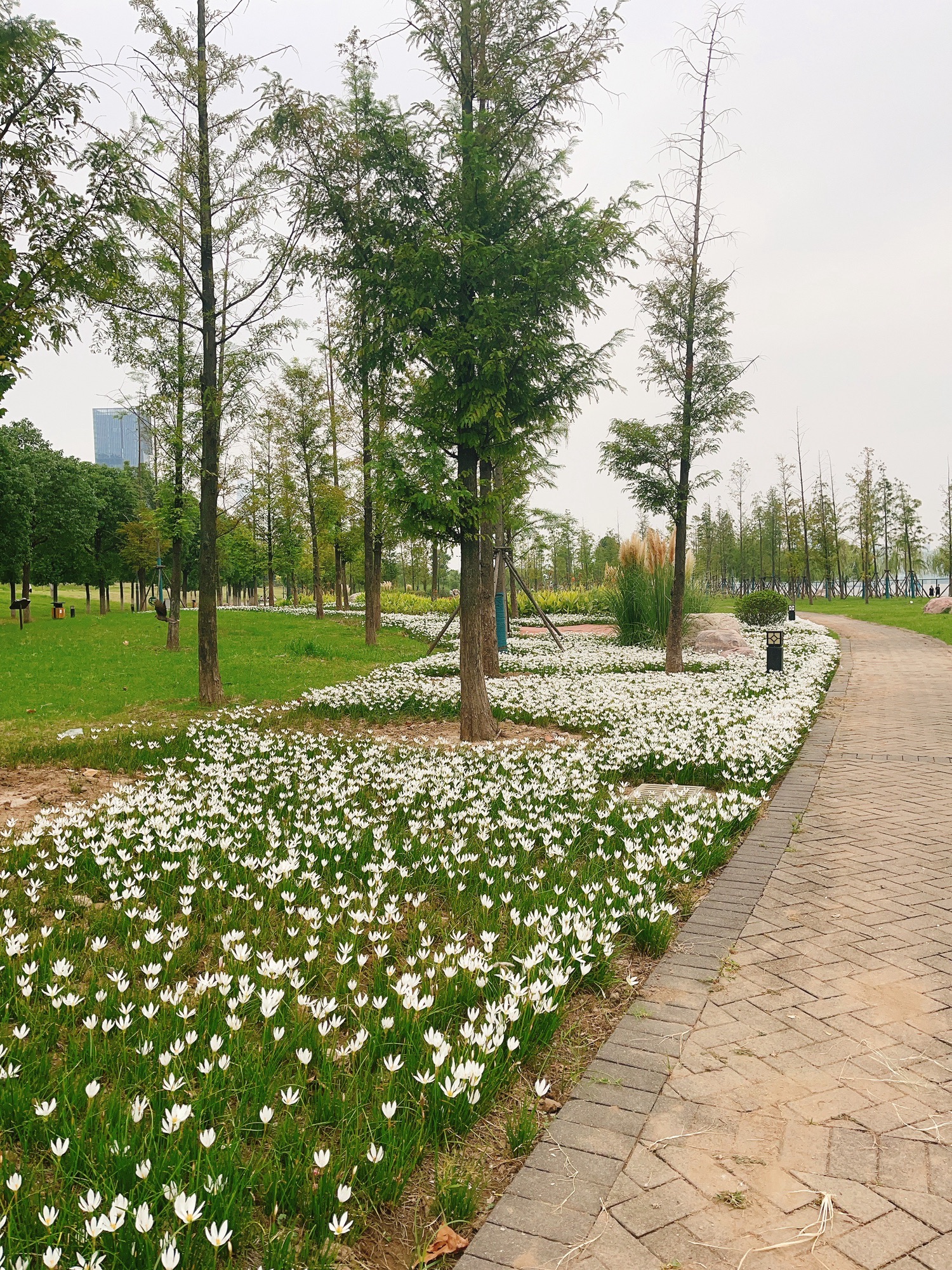 铁机江滩天使广场旅行图片