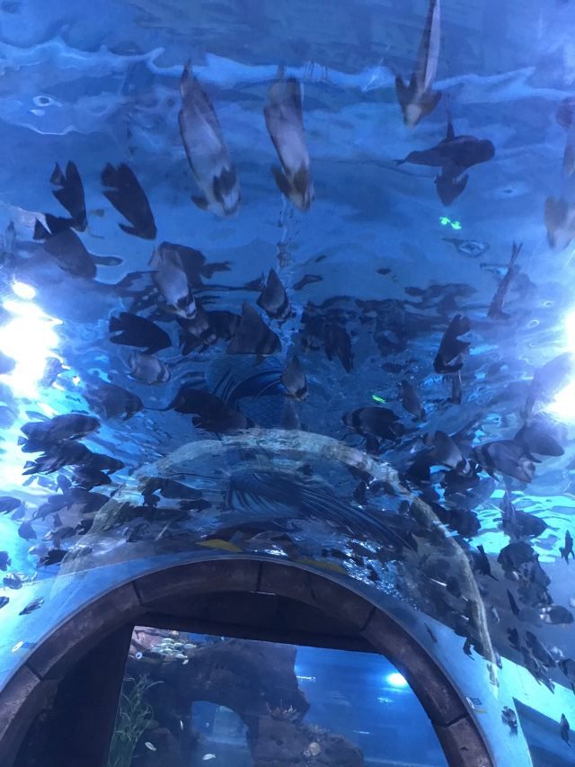 海蓝星梦幻城旅行图片 3