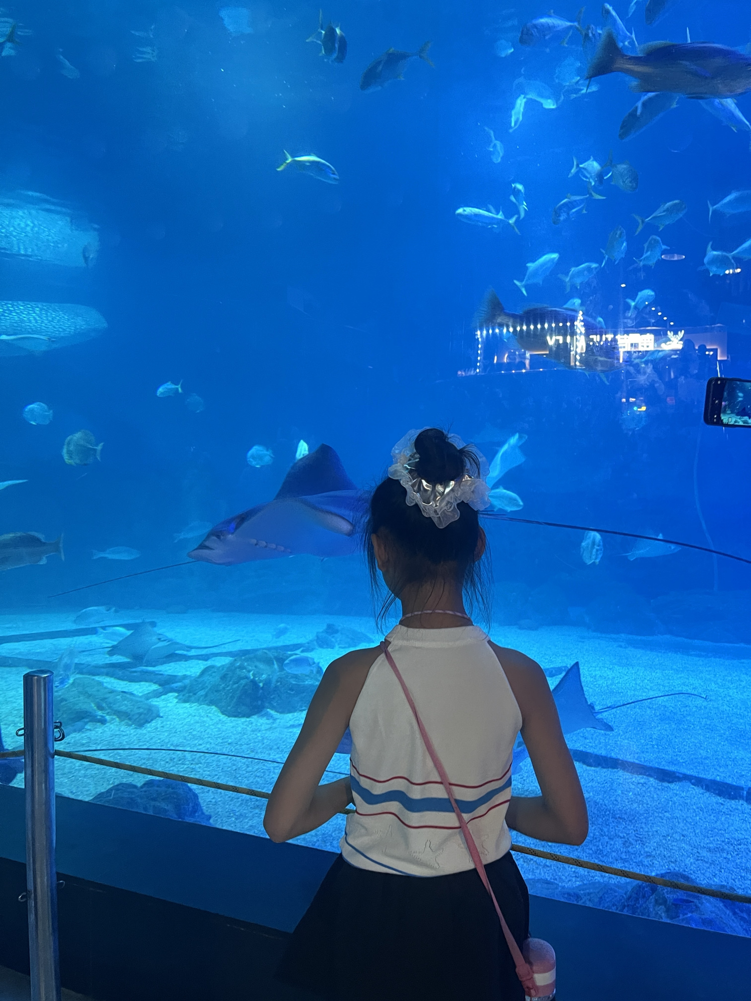 海蓝星梦幻城旅行图片 3