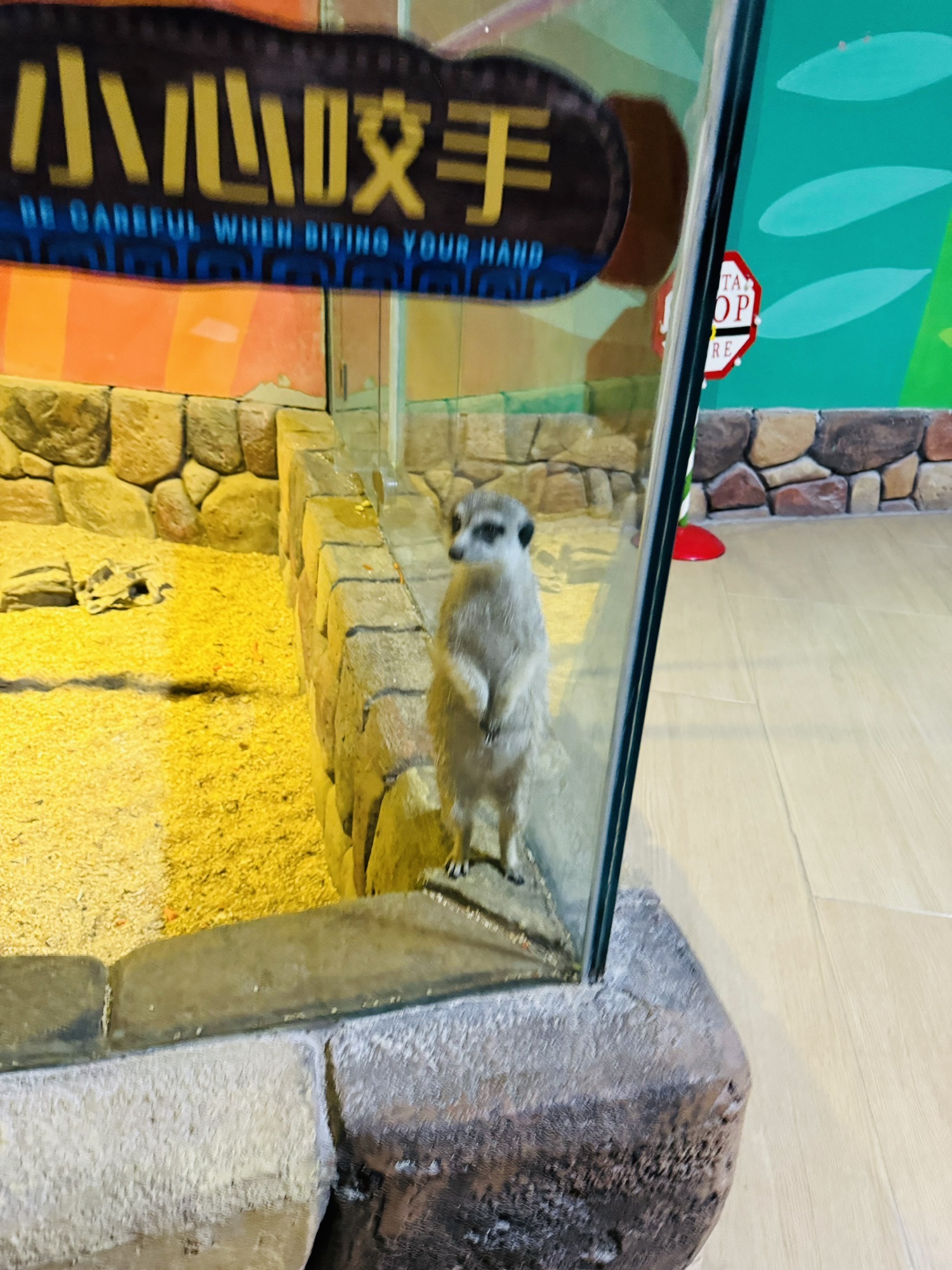 海蓝星梦幻城旅行图片 2