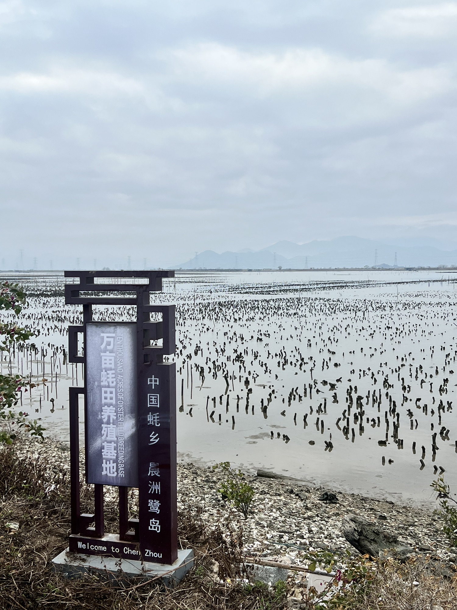 晨洲蚝乡旅游区旅行图片 2