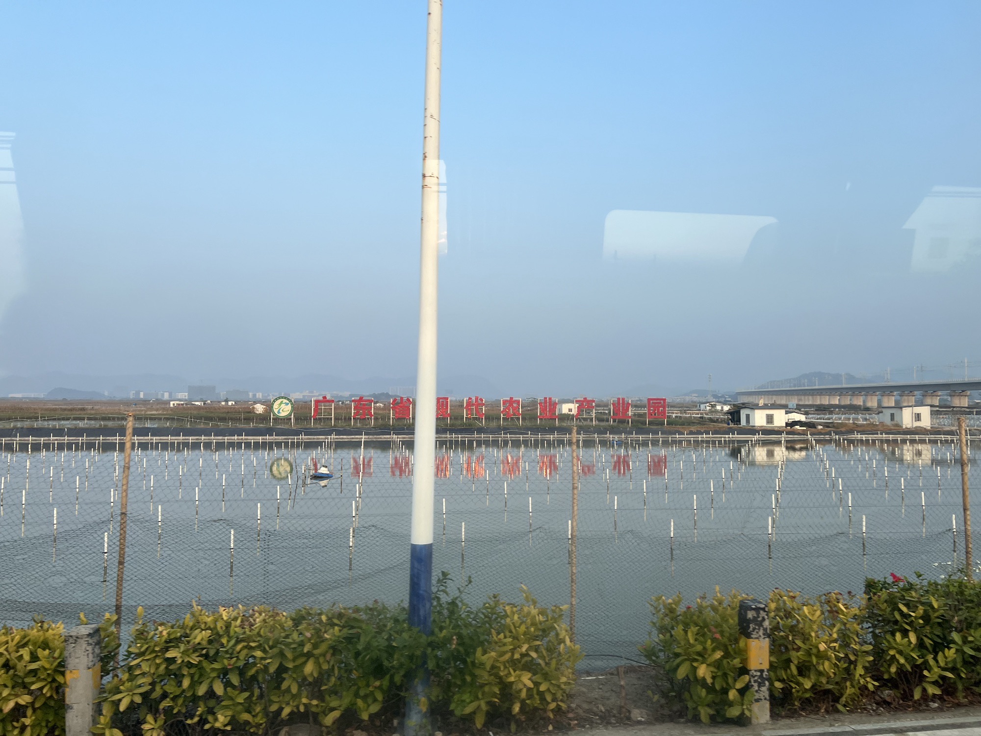 晨洲蚝乡旅游区旅行图片 2