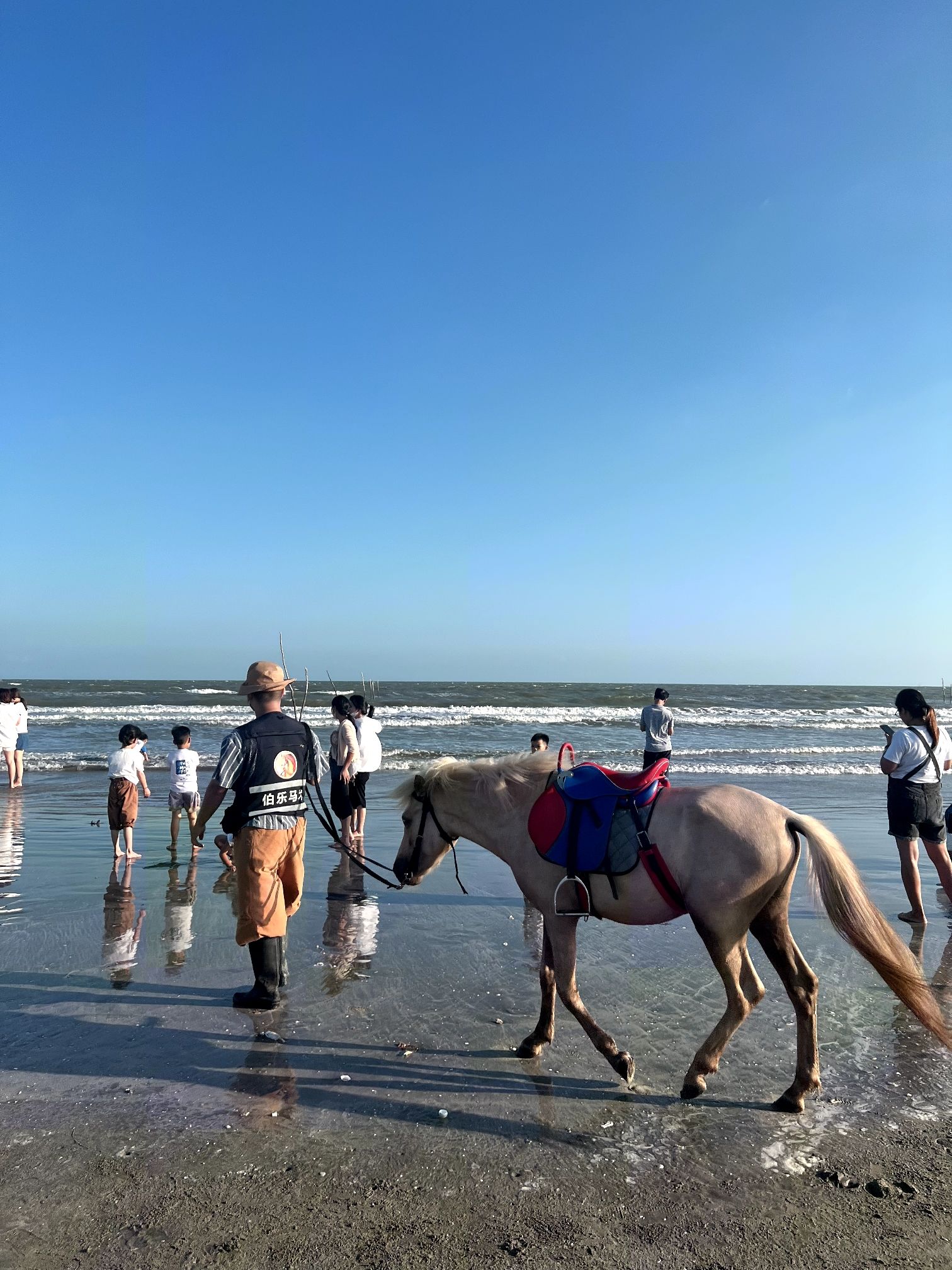 上海生态旅游特色村旅行图片 2