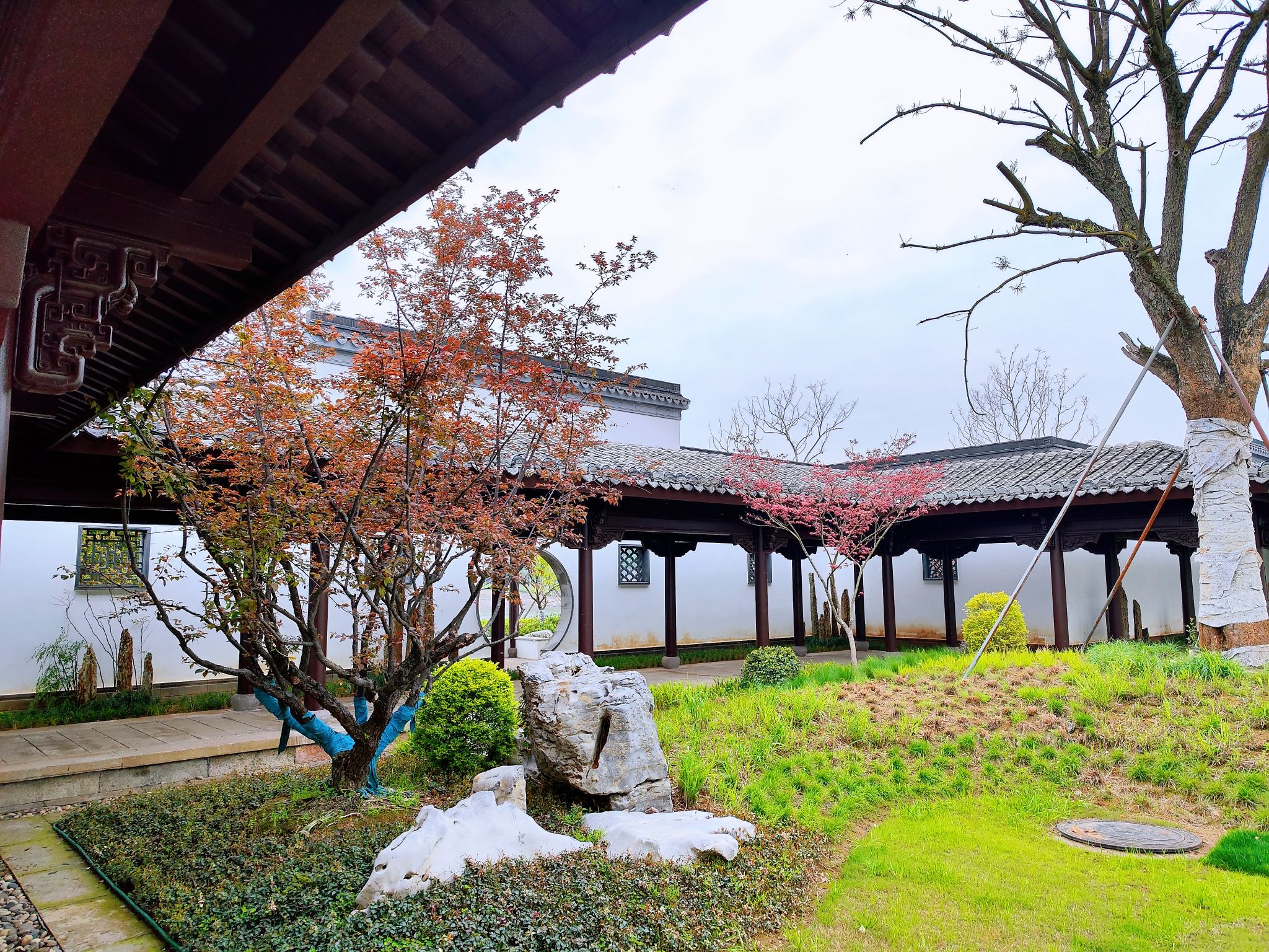 金华古渡公园旅行图片 3
