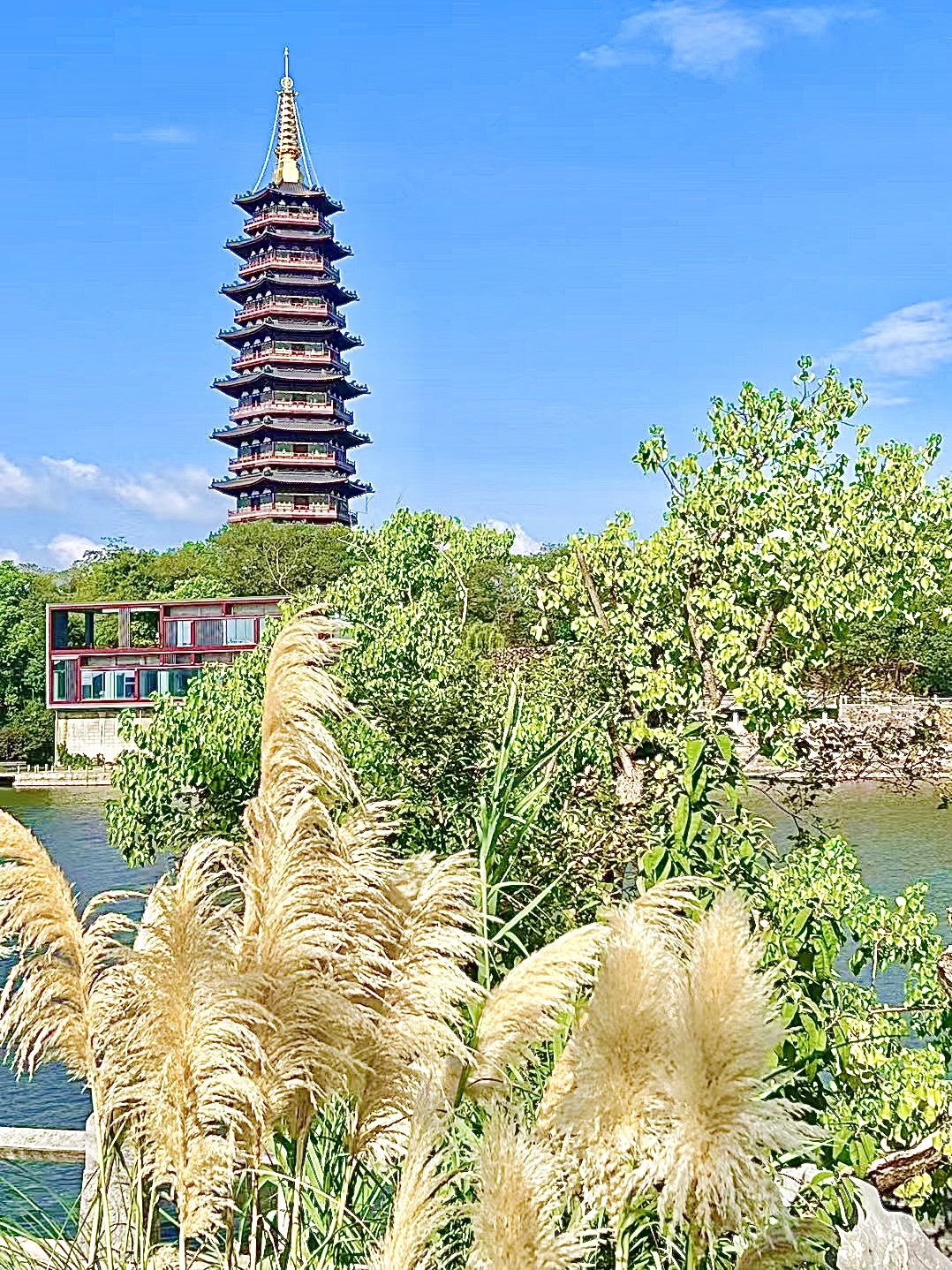 金华古渡公园旅行图片 3