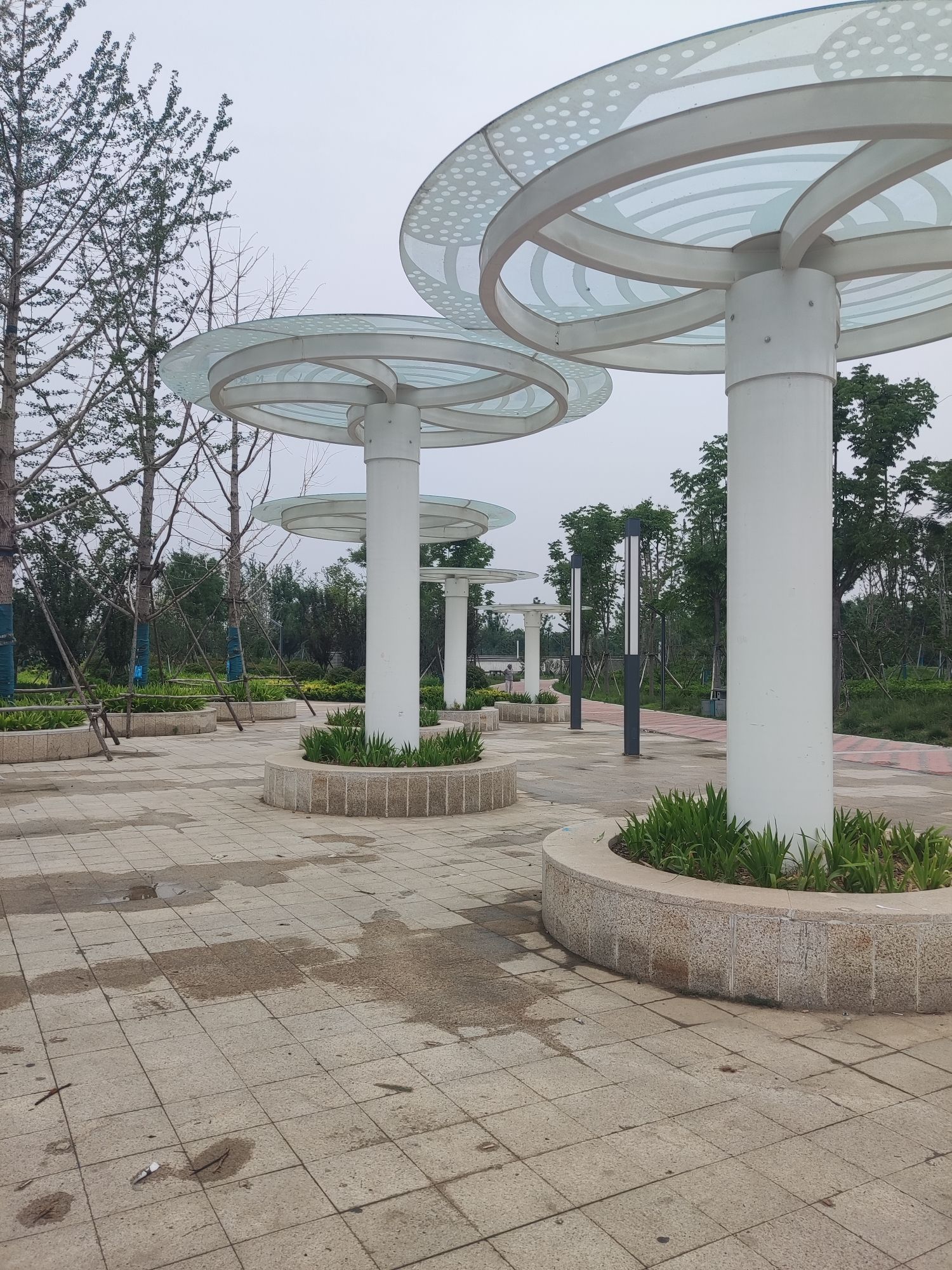 紫荆公园旅行图片 3