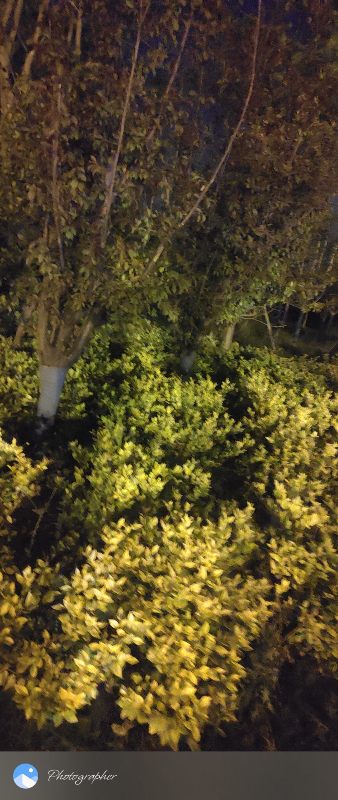 紫荆公园旅行图片 2