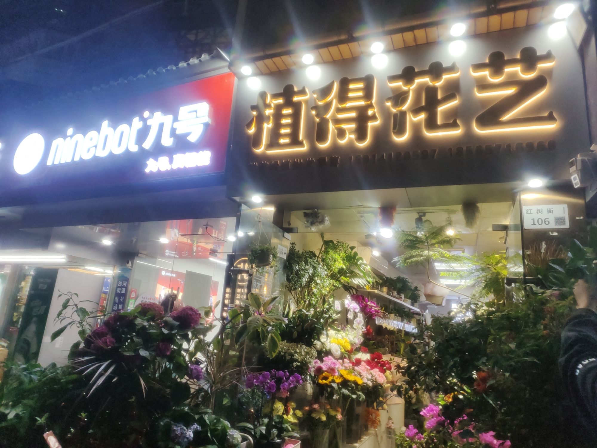 深圳市南山区植得花艺·花卉批发零售(红树街店)
