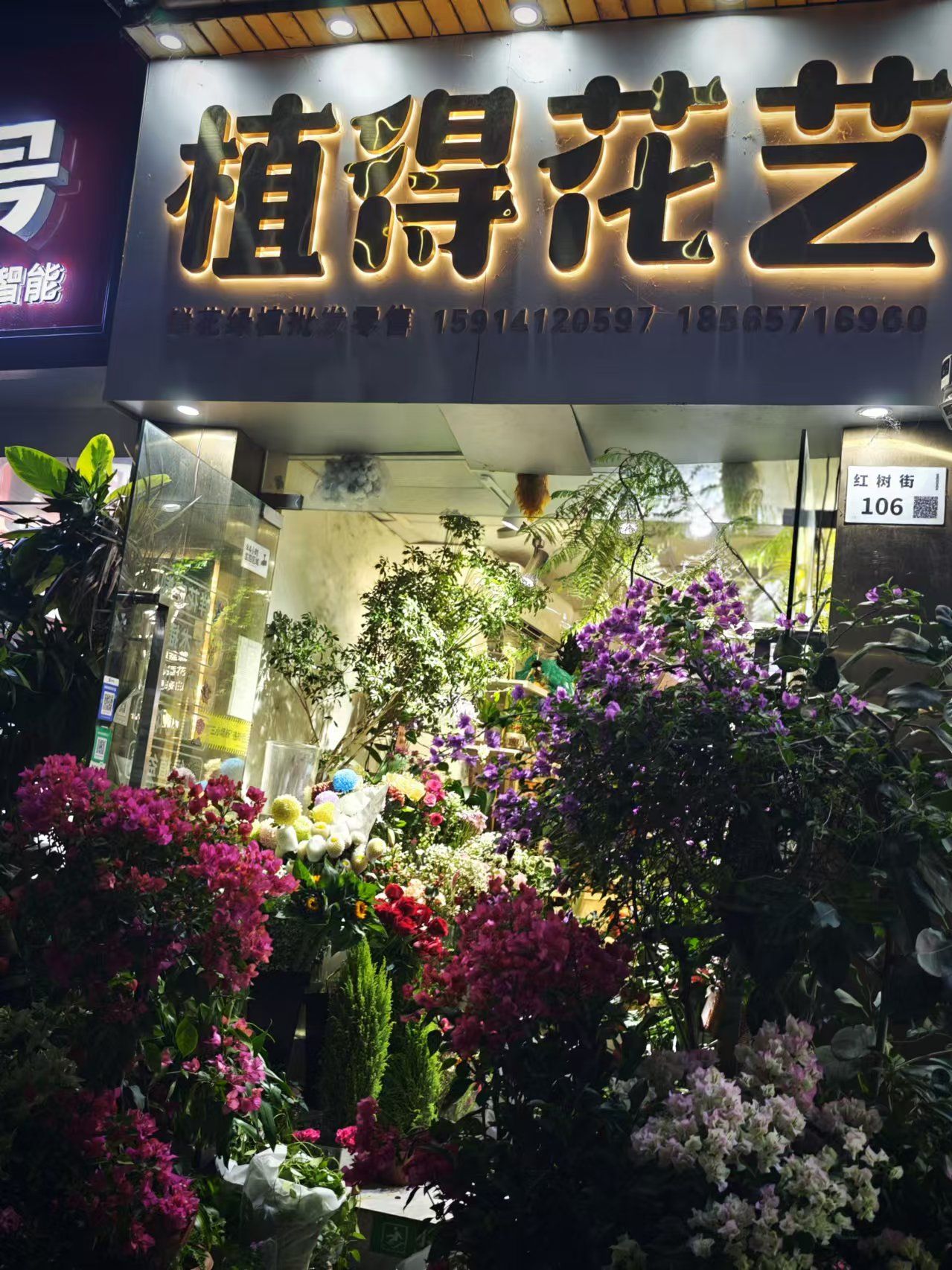 深圳市南山区植得花艺·花卉批发零售(红树街店)